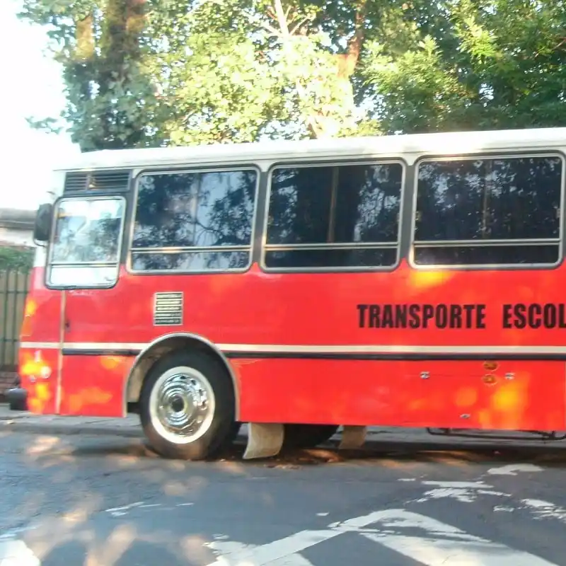 Mar del Plata: Manejaba un micro escolar con 1,73 de alcohol en sangre