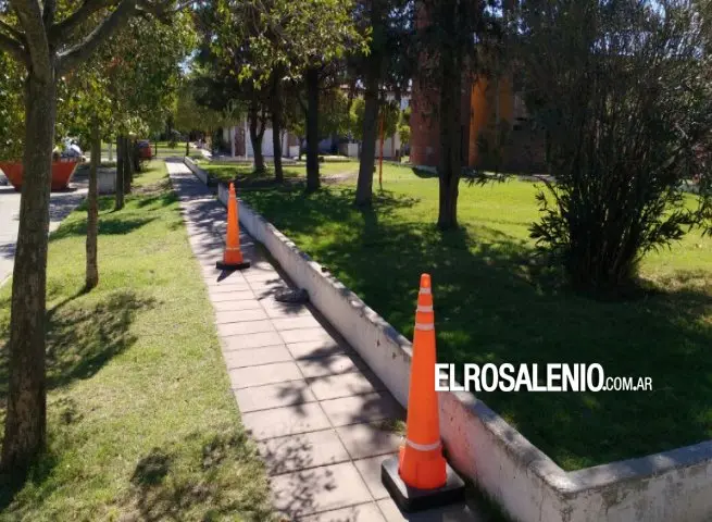 Punta Alta: Encontraron una granada cargada en un contenedor