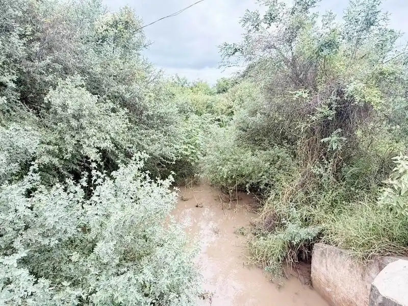 Martínez Meza denunció abandono
total de la Intendencia ante inundaciones