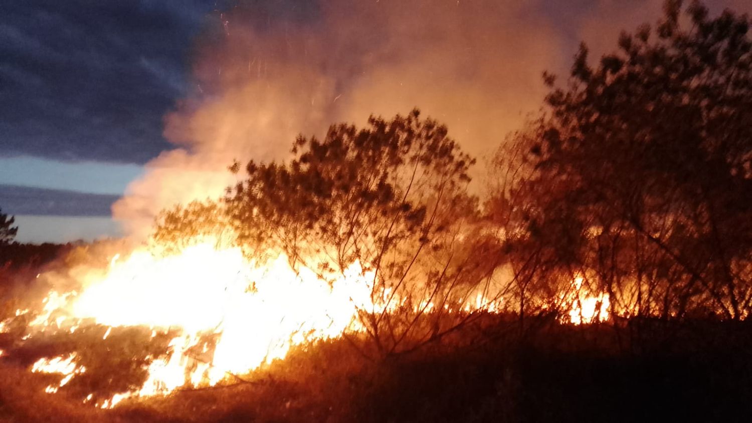 Intenso domingo de incendios movilizó a los Bomberos Voluntarios