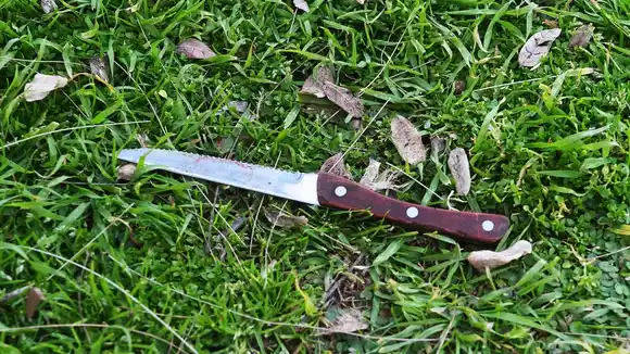 La policía frenó una pelea y le secuestró un cuchillo a uno de los involucrados