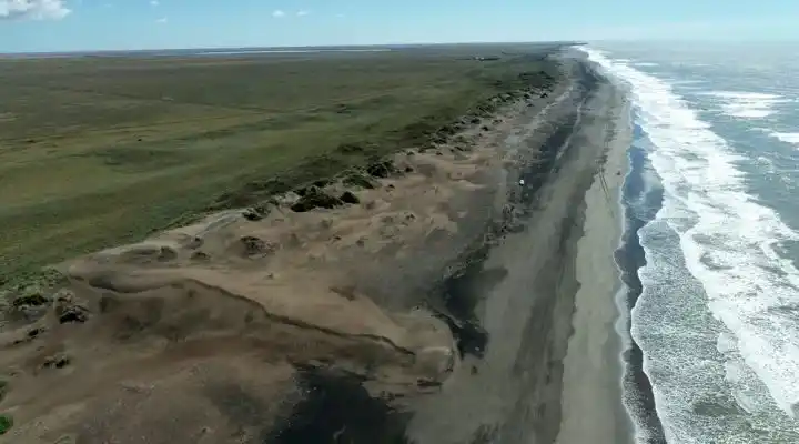 ¿Qué esconden las antiguas playas de Necochea?: la búsqueda de "tierras raras" del Conicet