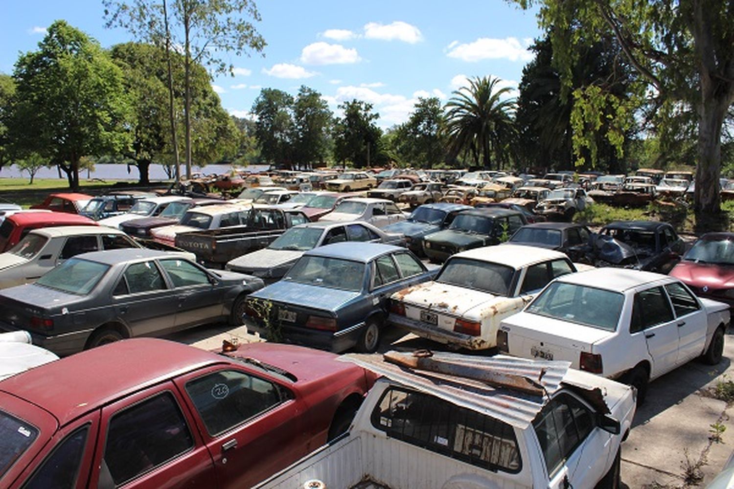 Compactarán los vehículos secuestrados que nunca fueron reclamados 