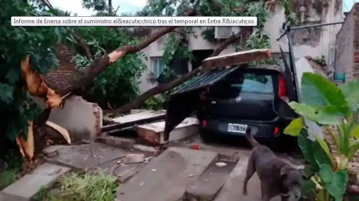 Informe de Enersa sobre el suministro eléctrico tras el temporal en Entre Ríos