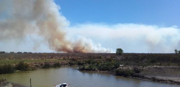 Ecocidio en islas: desesperado pedido de una familia que quedó en medio del incendio en la zona de Los Molinos