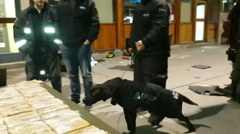 La AFIP interceptó 115 kilos de marihuana que se dirigían a Chile