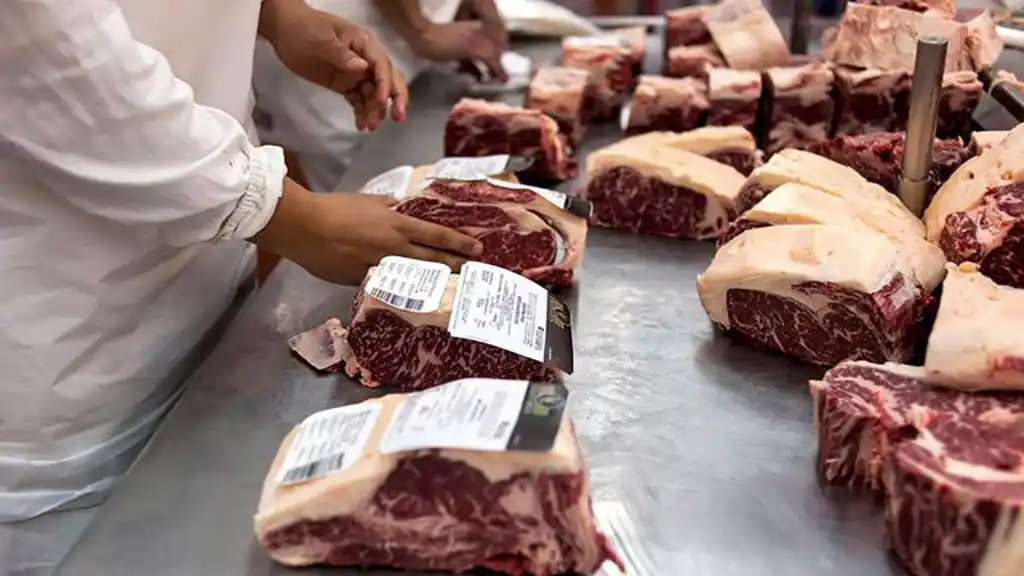Opiniones: ¡regularon la cadena de carne! Bajar el consumo de carne de los argentinos, pagar un novillo barato al productor y exportar