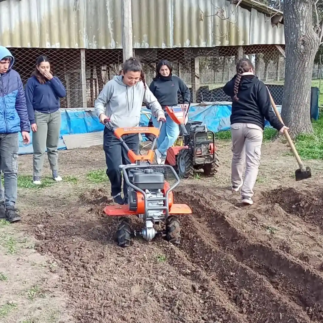 Escuela y comunidad: estudiantes inician prácticas que transforman la secundaria