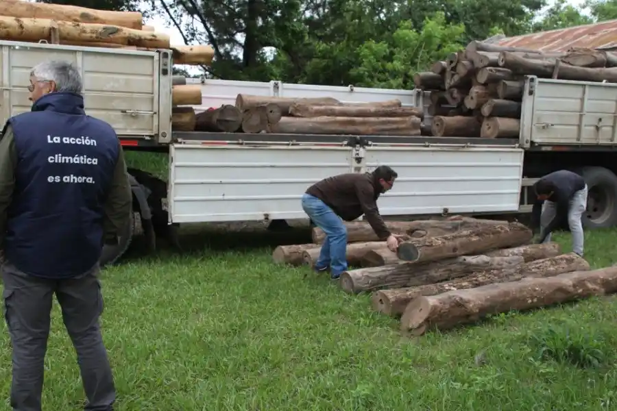 Incautaron un cargamento con 210 rollos de despunte de palo santo