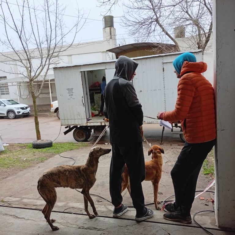 castracion_melincue_1