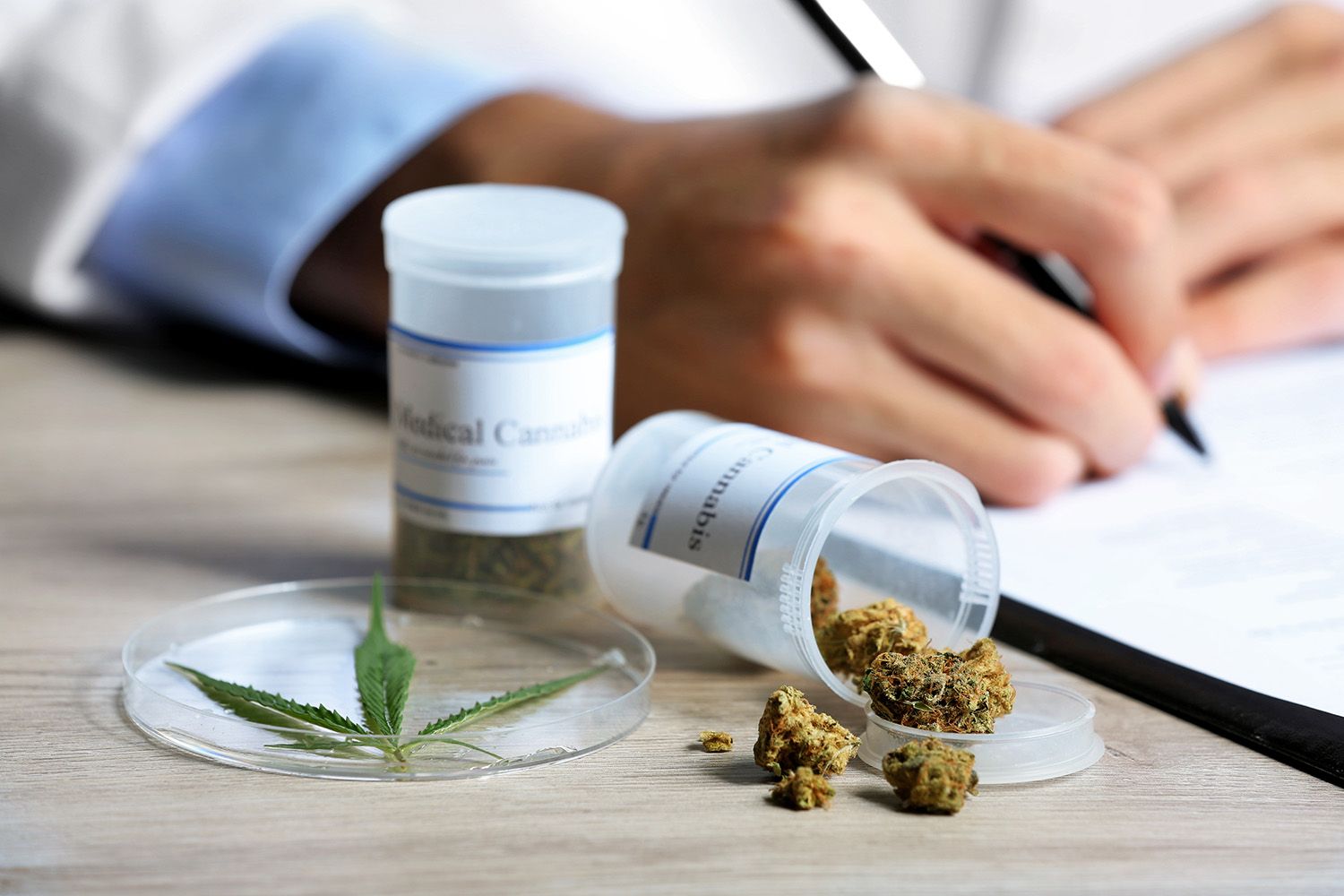 Diputados bonaerenses comienzan a discutir el uso del cannabis medicinal