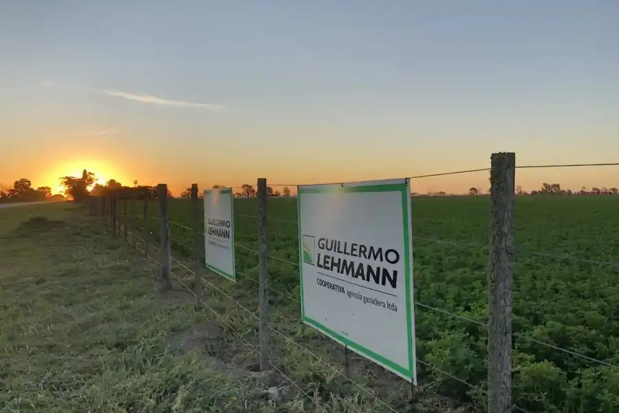 Ya están abiertas las inscripciones para "A Campo Abierto"