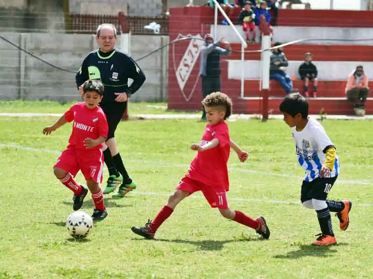 El Apertura en la recta final