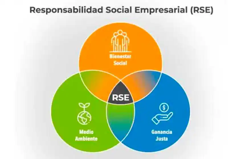 La historia de la Responsabilidad Social y su vínculo con las ONG