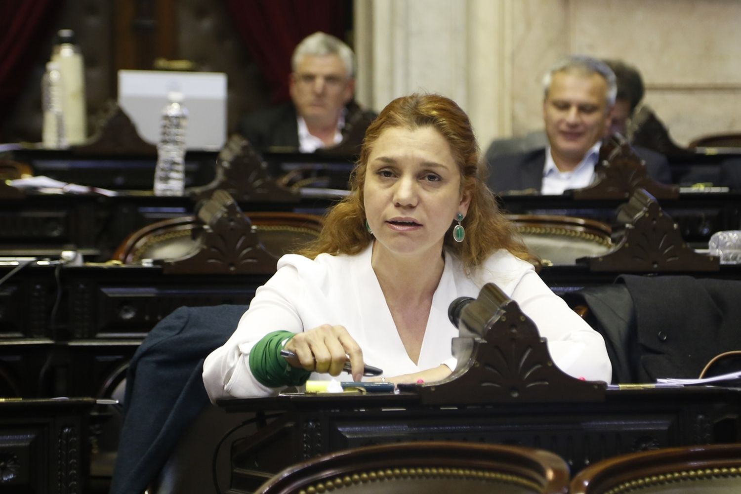 "Hoy Juntos por el Cambio está internado y con respirador artificial", aseguró la diputada nacional radical Karina Banfi