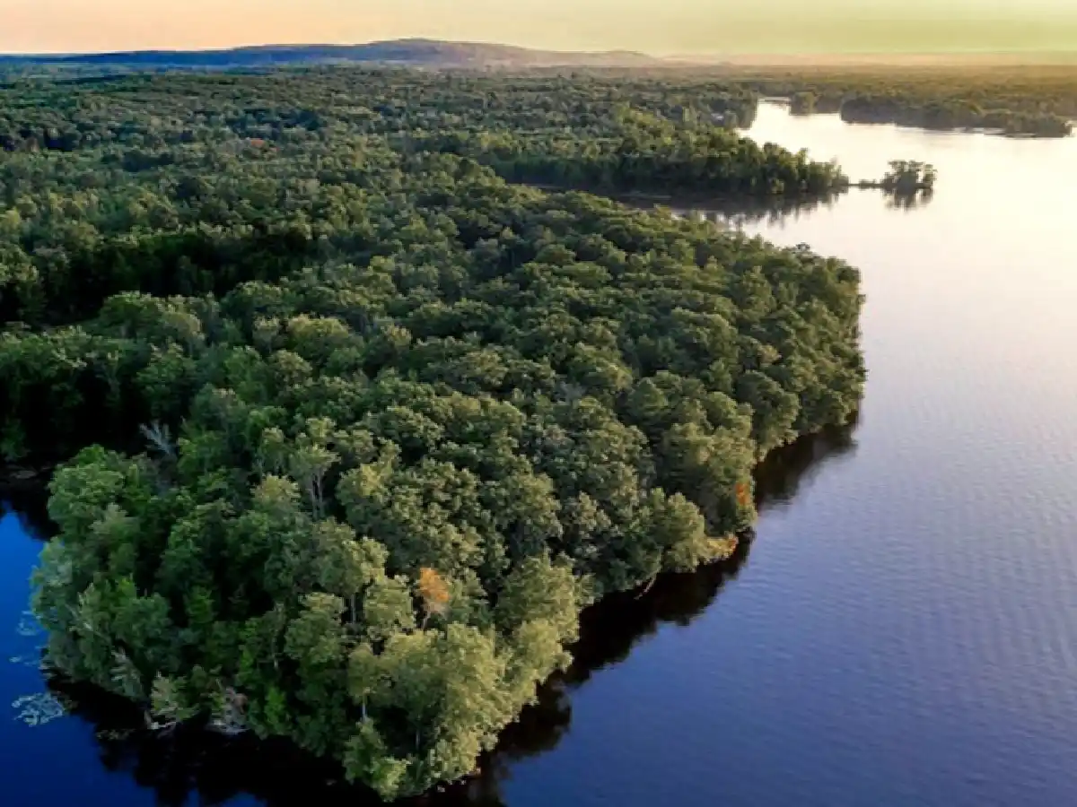 La deforestación en la Amazonia alcanzó nuevos récord pese a las promesas de Bolsonaro