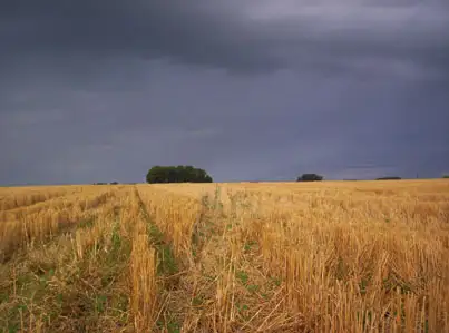 Prevén riesgos para la campaña agrícola 