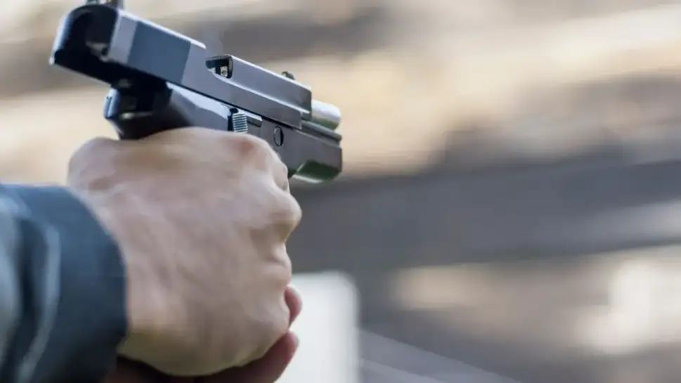 Modificaciones en la reglamentación de la Ley Nacional de Armas y Explosivos.
