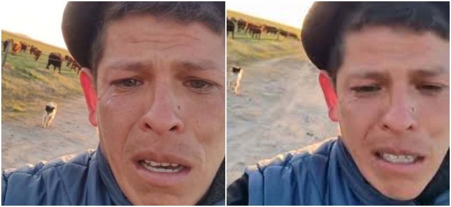 Lo echaron después de 11 años como peón rural: la triste despedida de su "fiel amigo"