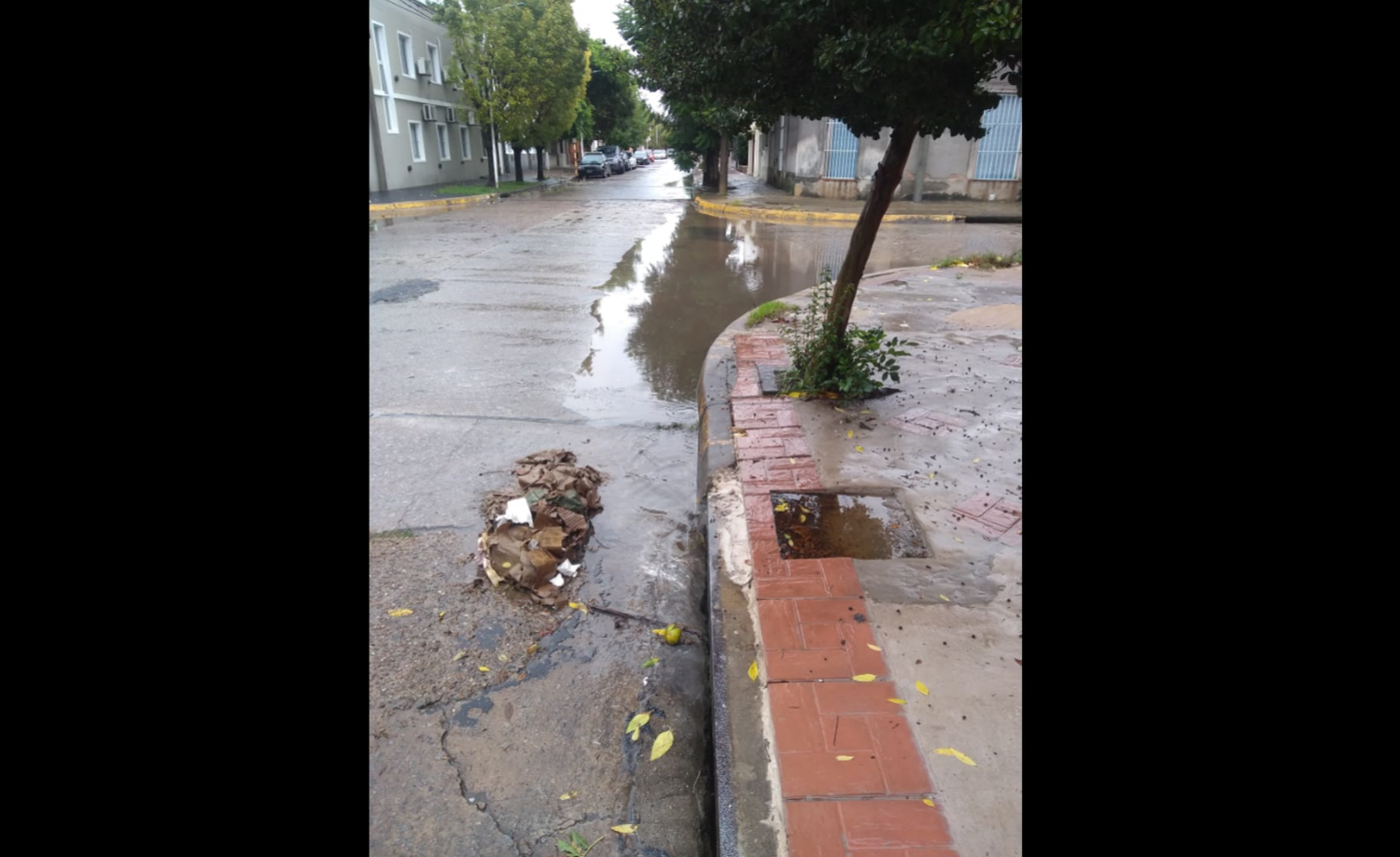 Una “laguna” que solucionaron los vecinos