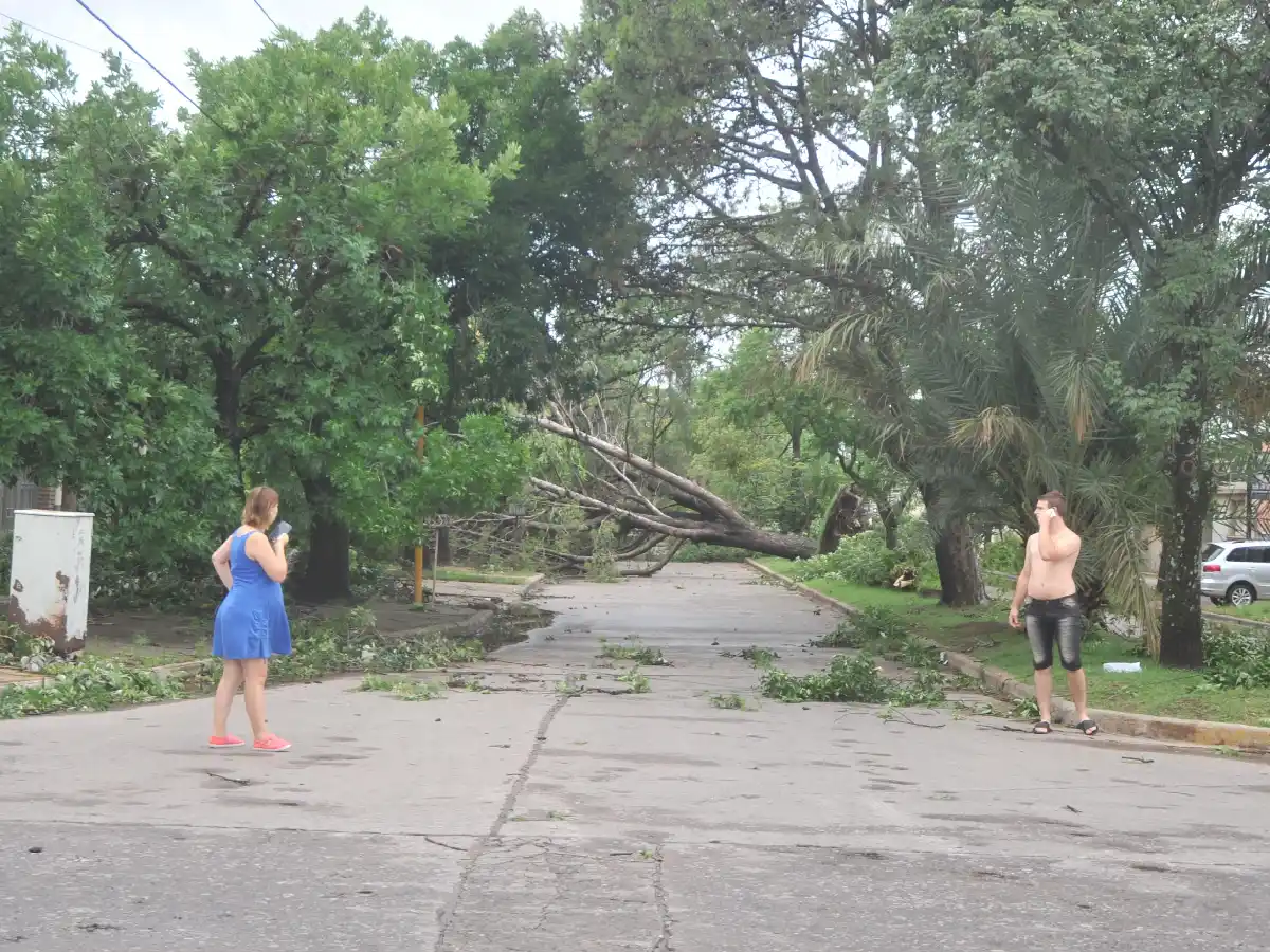 Por qué no fue un tornado según el jefe de la estación climatológica de UTN 
