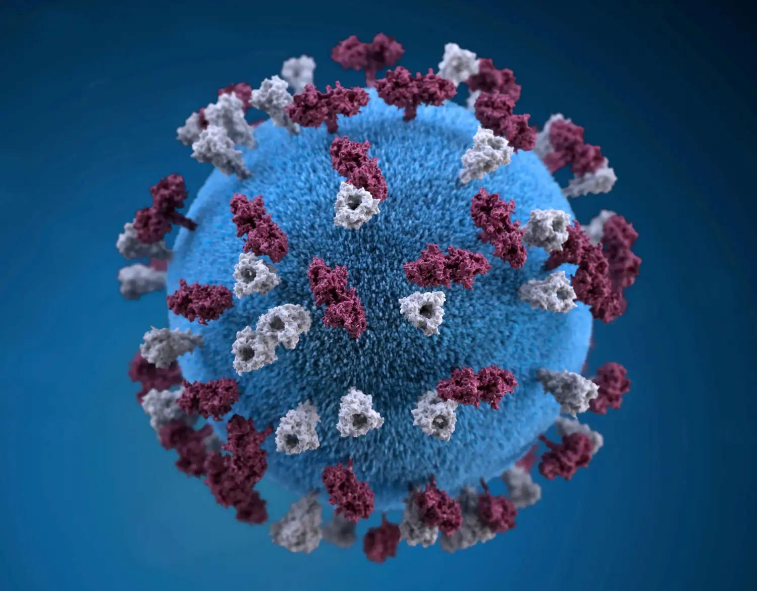 Representación gráfica en 3D de partícula del virus del sarampión en imagen entregada obtenida por Reuters el 9 de abril 2019.Centros para el Control y Prevención de Enfermedades (CDC)/Entregada vía REUTERS