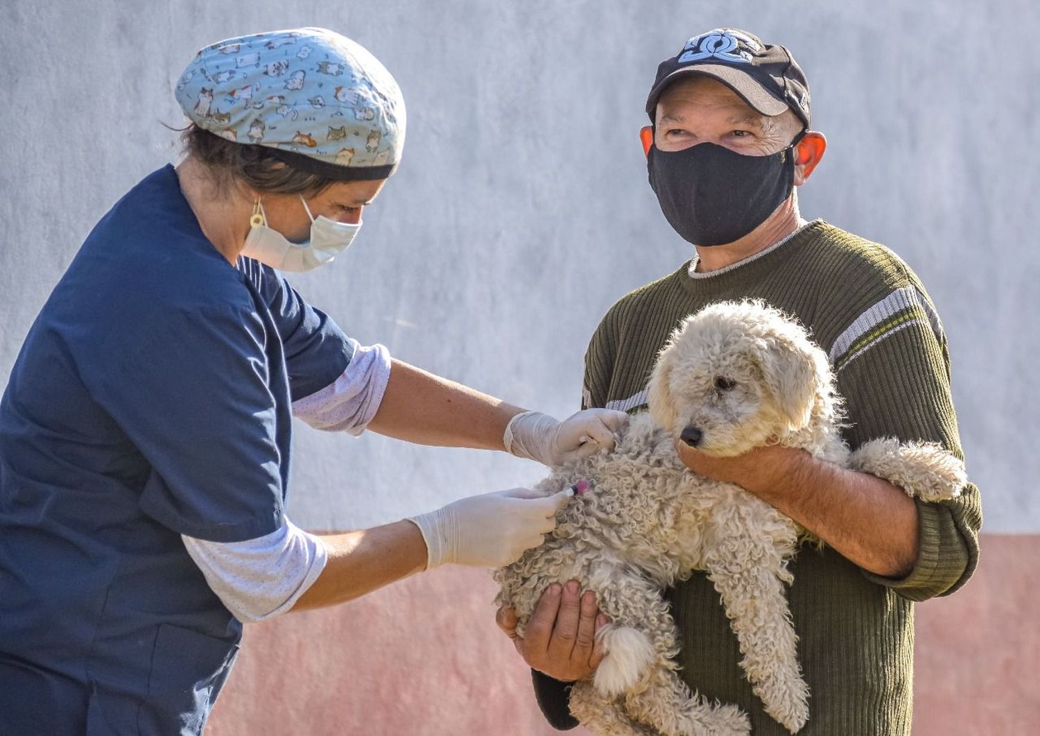 El gobierno venadense busca fortalecer la salud animal en los barrios