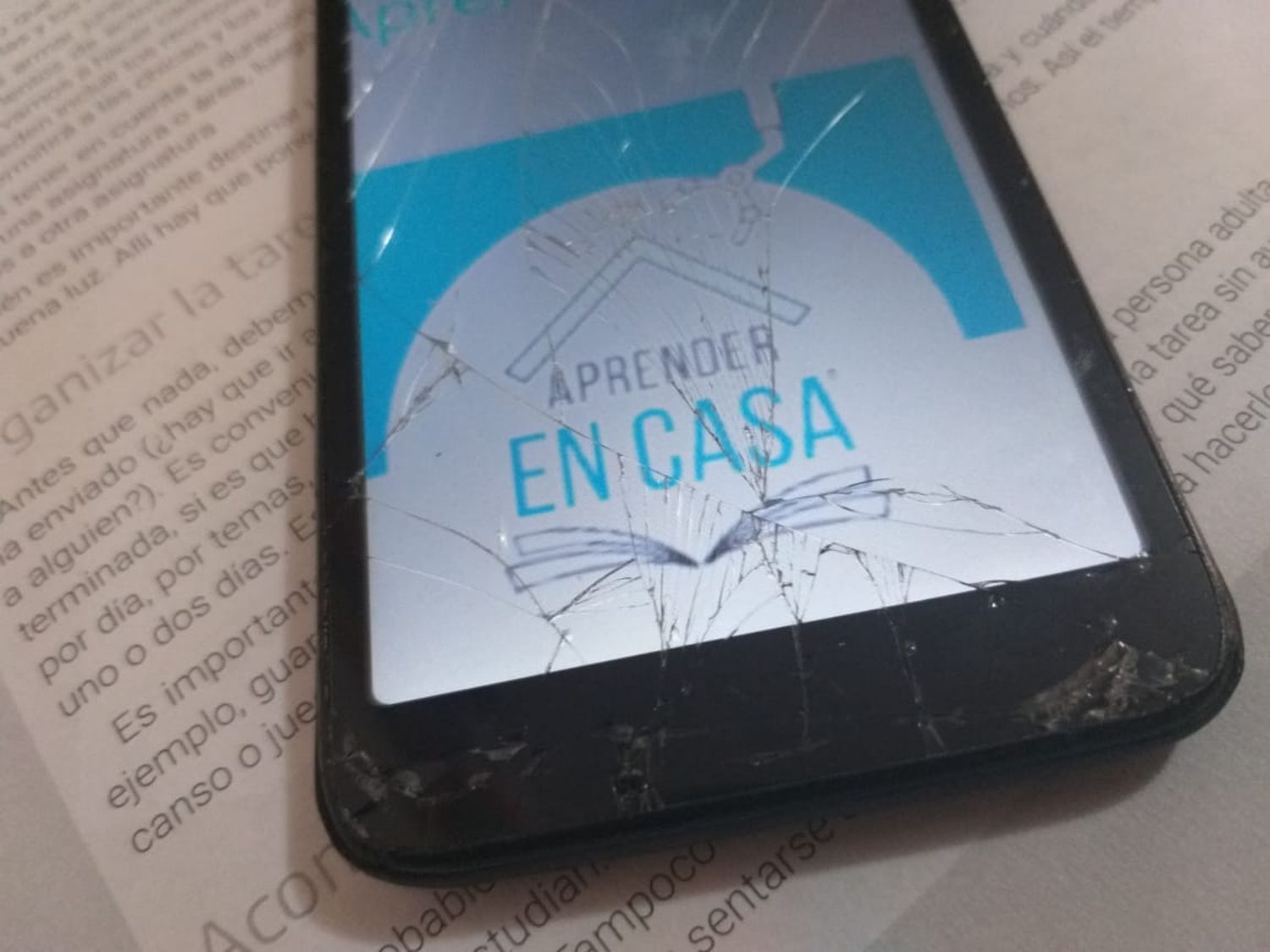 La pandemia agudiza desigualdades previas y evidencia el atraso en la educación digital