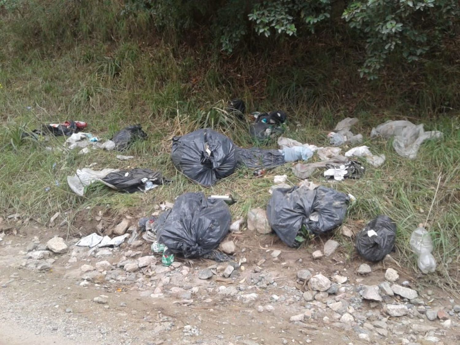 Basura acumulada