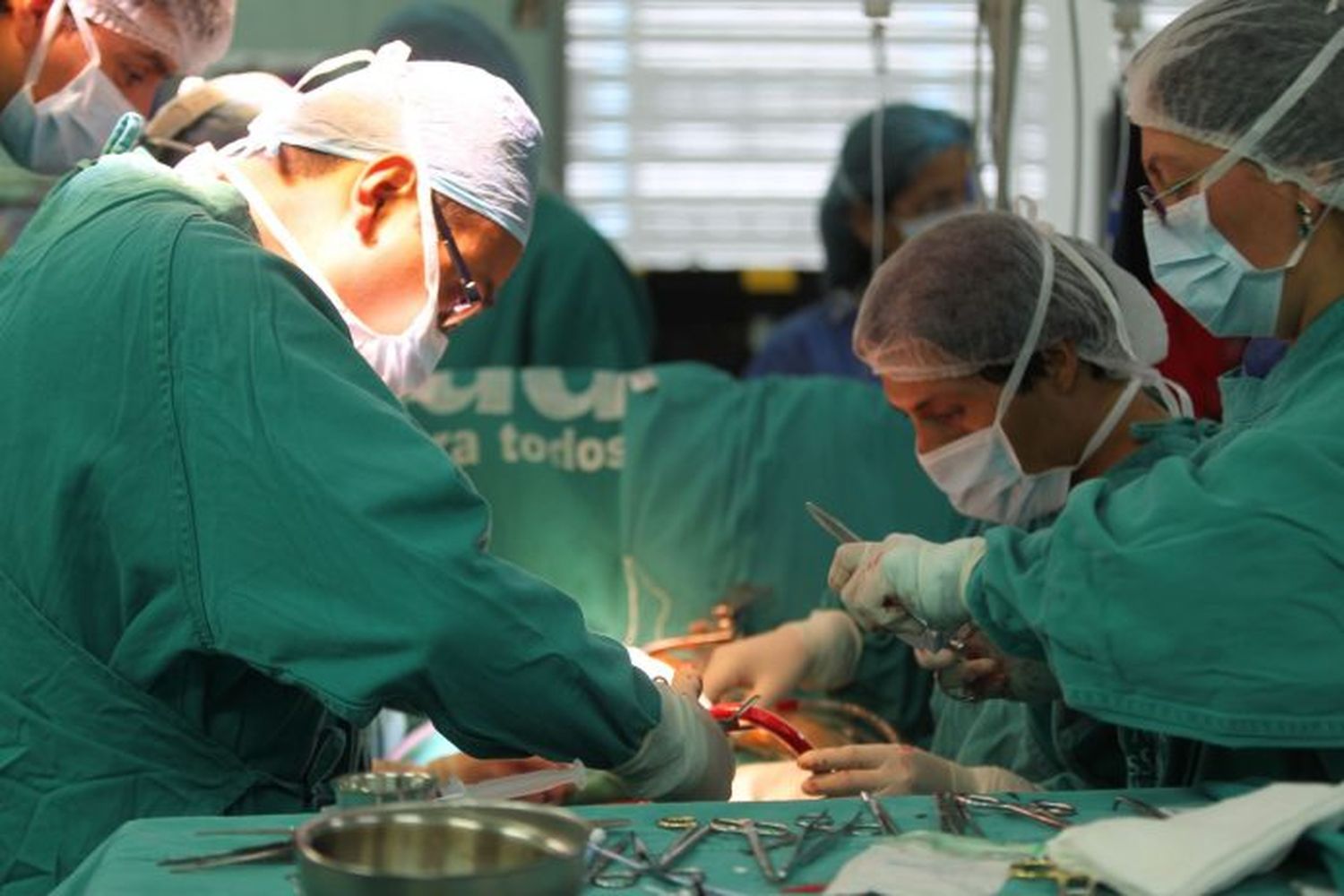 Argentina registró récord con más de 700 donantes de órganos en 2018: Provincia sigue debajo de la media