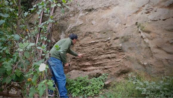 Museo Paleontológico: hallan "madriguera" de un mamífero prehistórico
