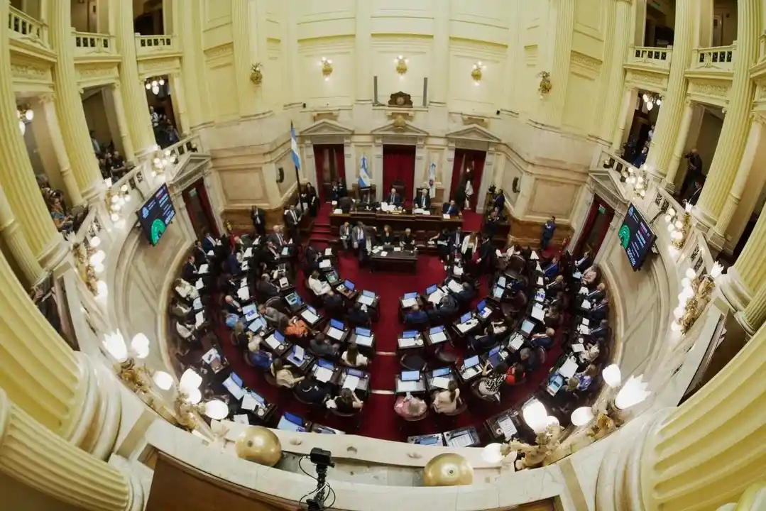El Senado frena reforma electoral hasta tener acuerdo con los dialoguistas.
