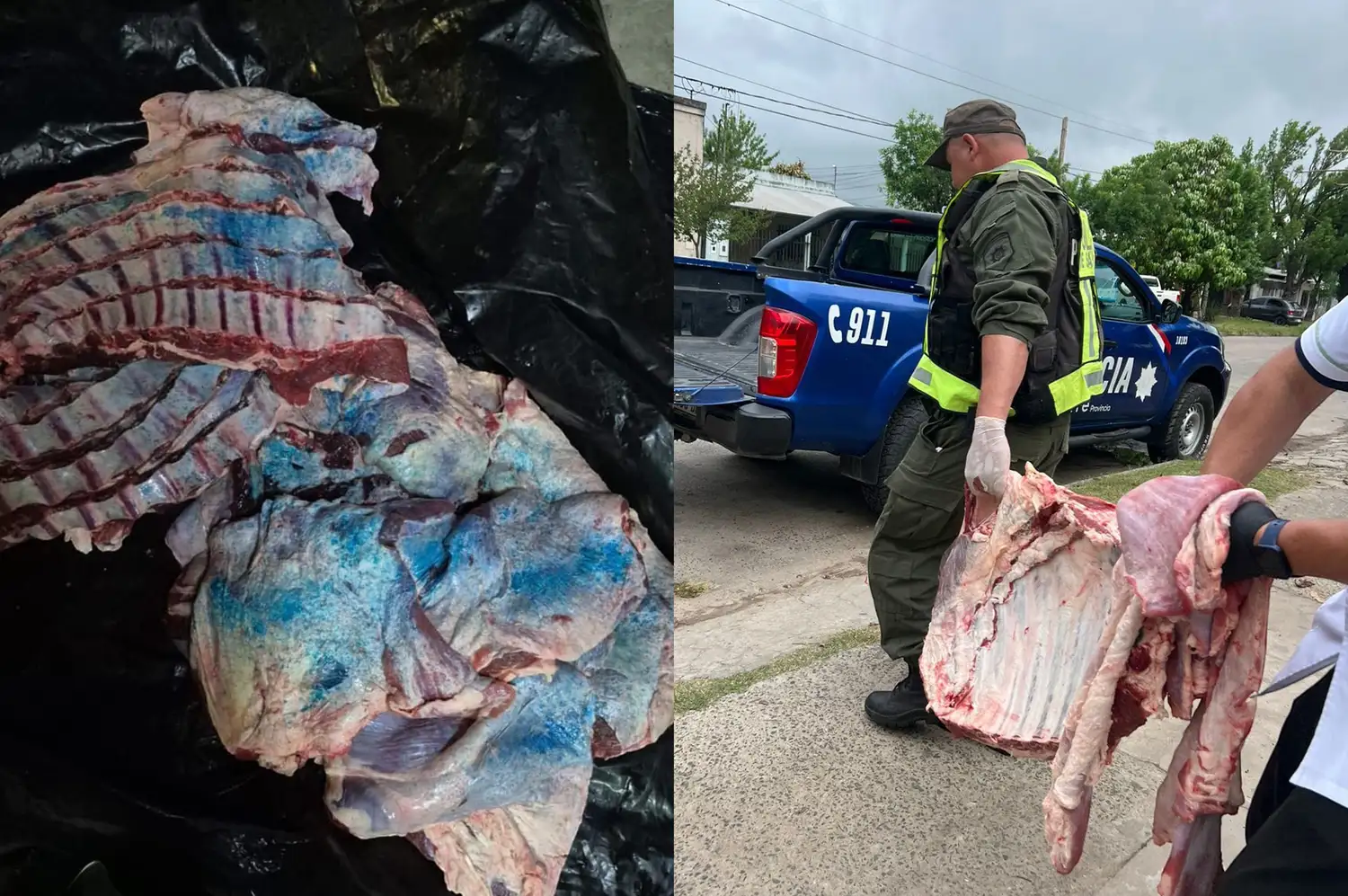 Los Pumas decomisaron 300 kilos de carne sin sellos sanitarios en cinco carnicerías reconquista - 2