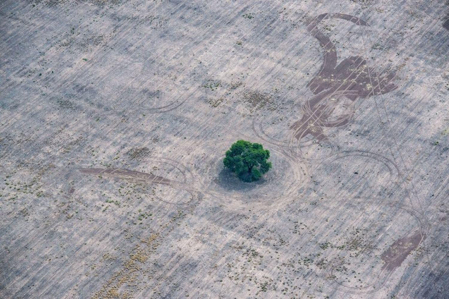 Un 90% de los encuestados cree que Argentina está afectada por el cambio climático