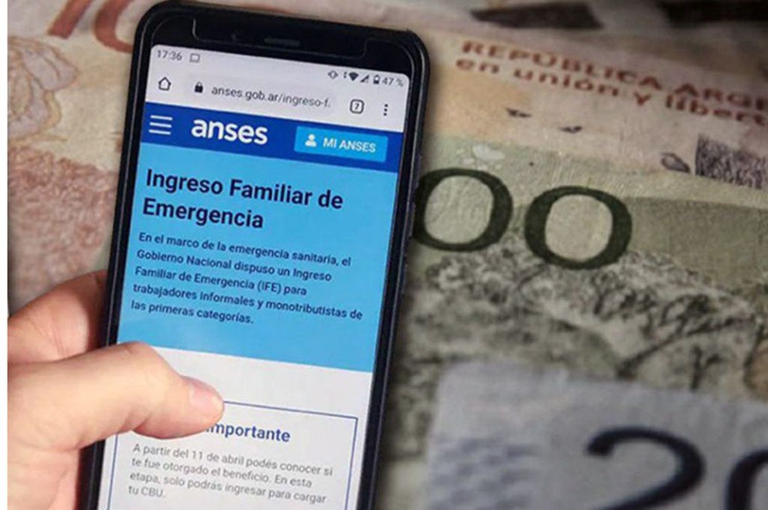 IFE 5 ANSES: quiénes van a cobrar el bono de $45.000, cuándo se paga y los requisitos