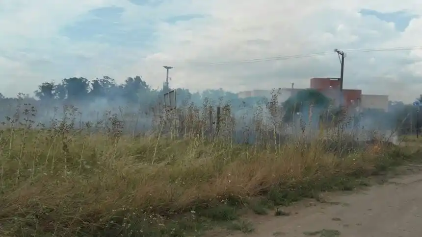 Incendio en 103 y 44