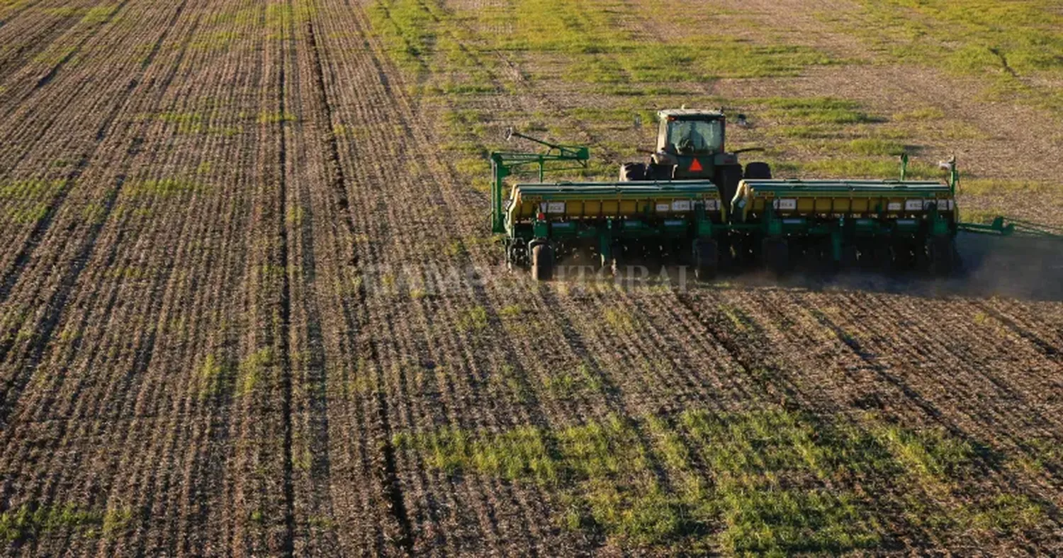 Por el lado del inversor en tierra agrícola para arrendar, no se logra percibir una rentabilidad extraordinaria a pesar de los precios internacionales altos