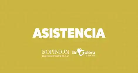 Entrega de bolsones de PAMI: el cronograma vigente para esta semana