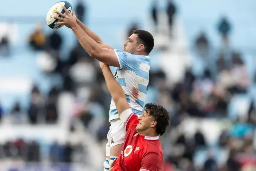 Los Pumas