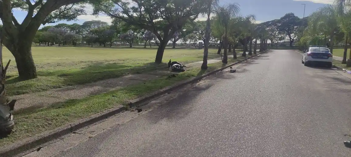 Un hombre chocó contra una palmera y se encuentra grave
