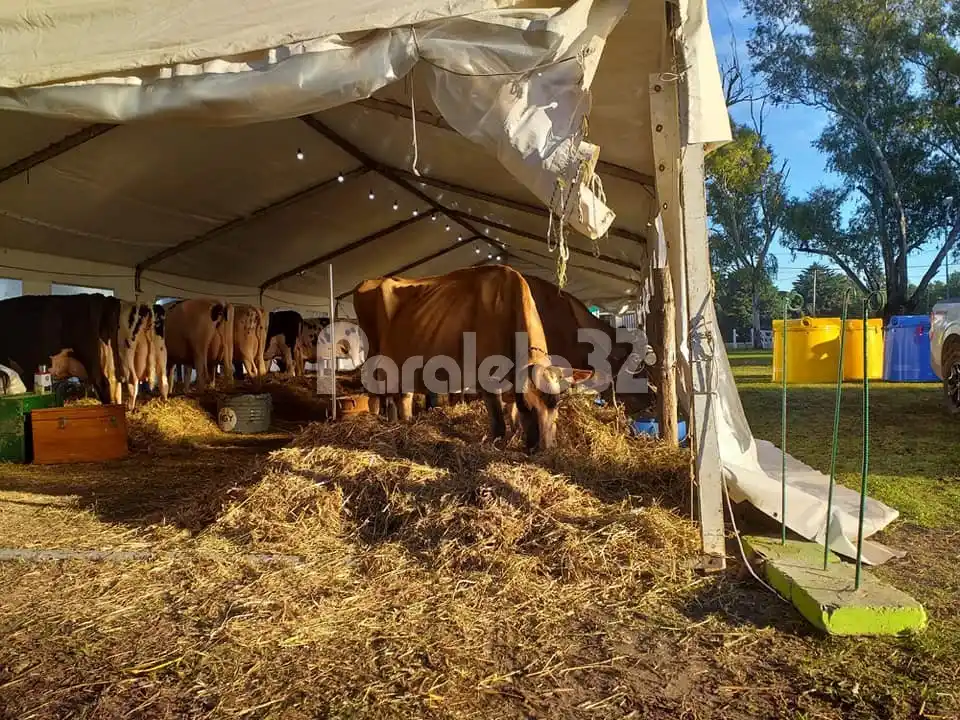 La Expo Leche tendrá modificaciones y nuevas modalidades