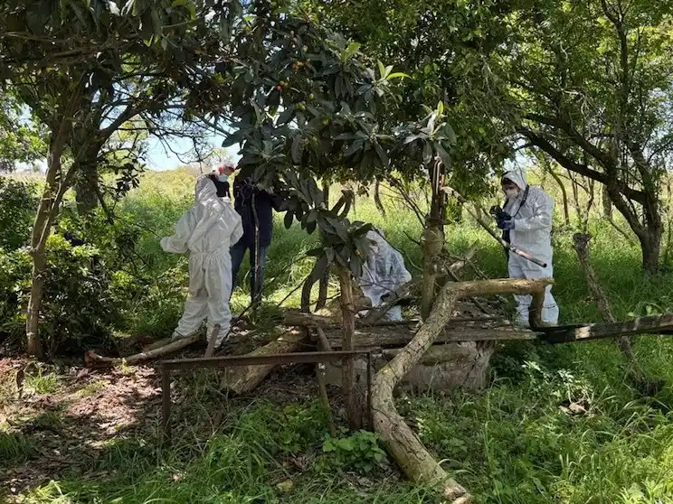 daiana femicidio - 1