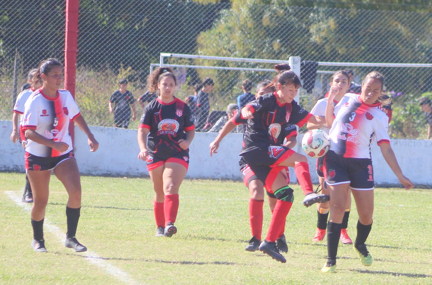 femenino