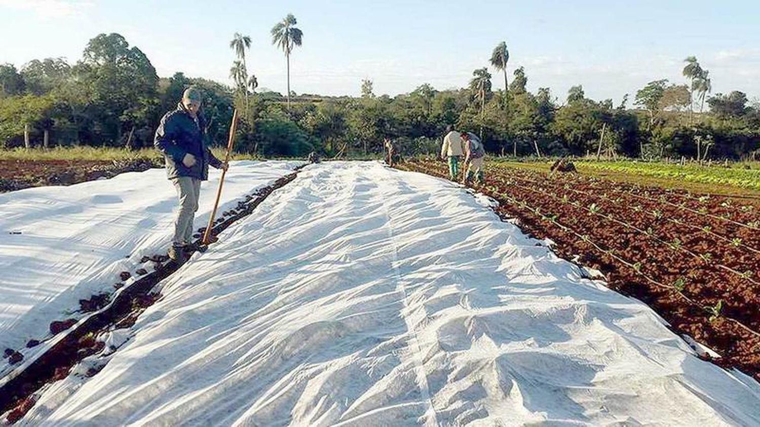 Desde el Ministerio de la Producción coordinan 
acciones para hacer frente a bajas temperaturas