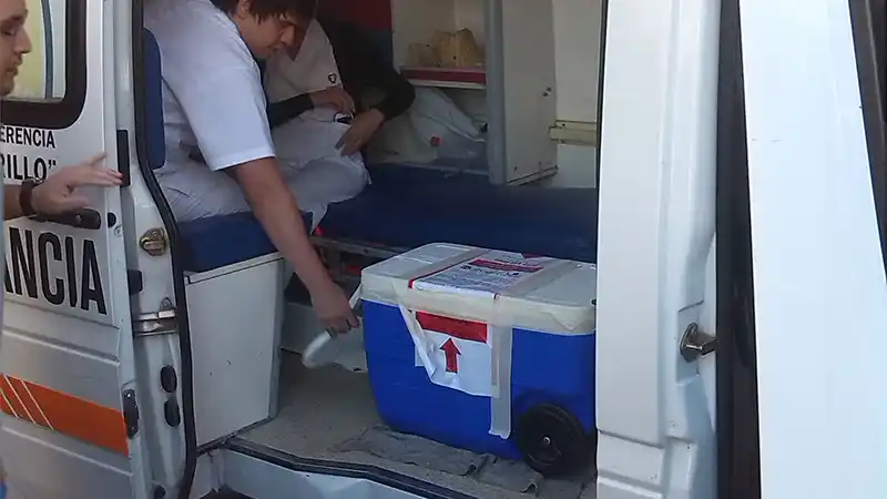 Una donación de órganos de una víctima joven posibilitó tres trasplantes