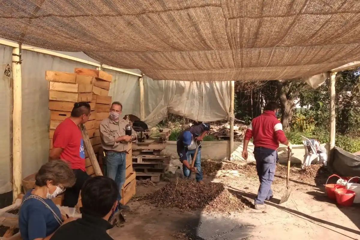 Cuidadores de la Casa Común y la UTT promueven agroecología con los jóvenes