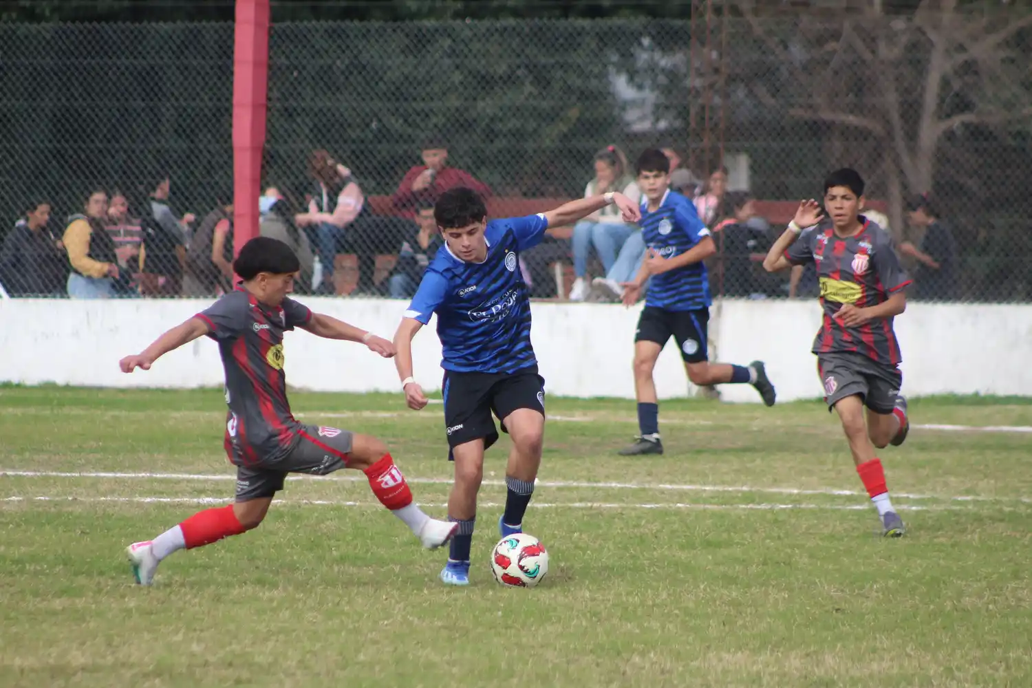 Resultados de Divisiones Inferiores y fútbol femenino
