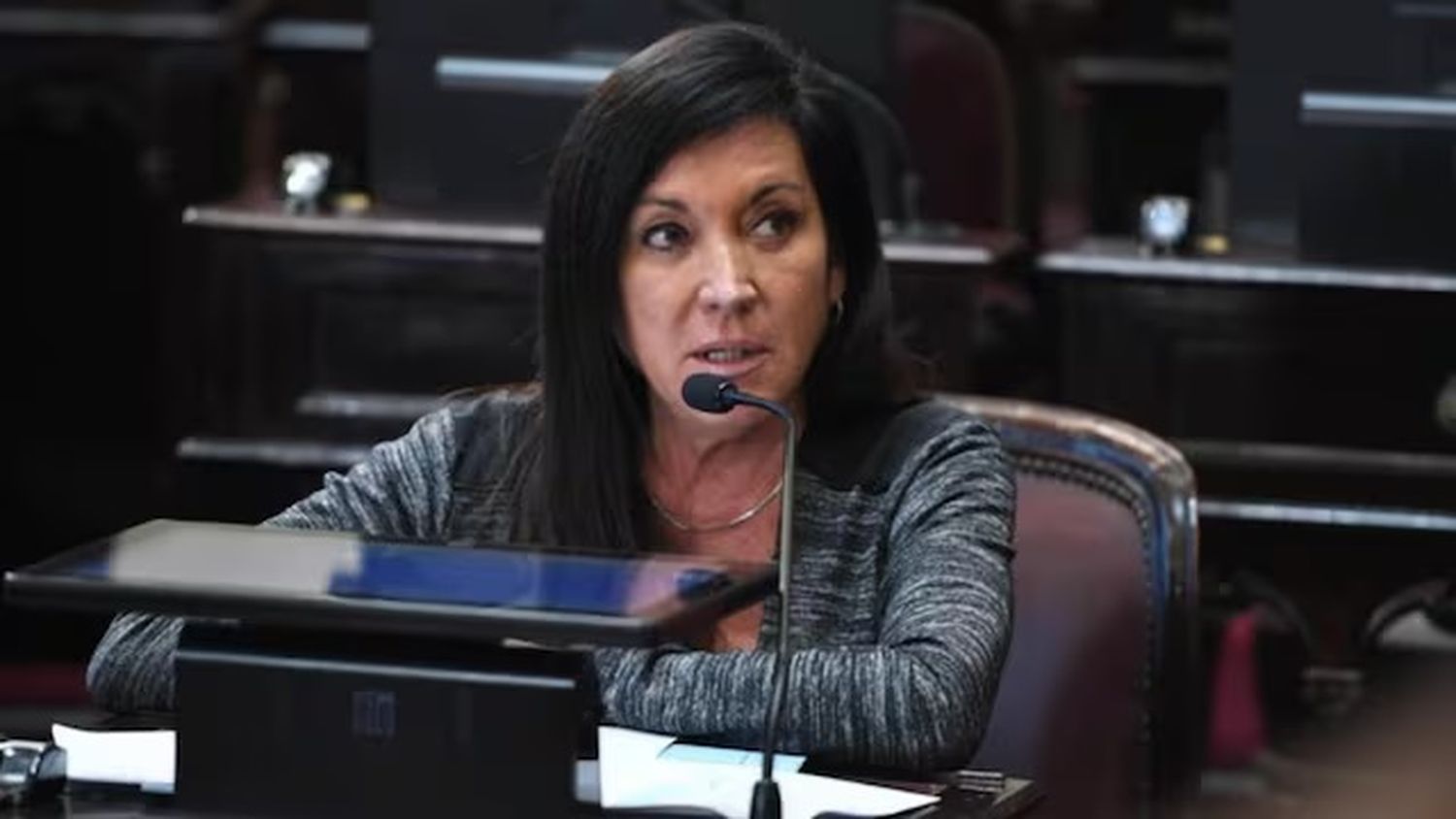 El debate de la baja de imputabilidad se instalará con fuerza en la Cámara baja