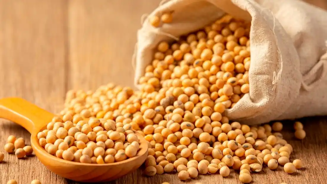 El principal protagonista de la semana fue el aceite de soja, que avanzó más de 5%.