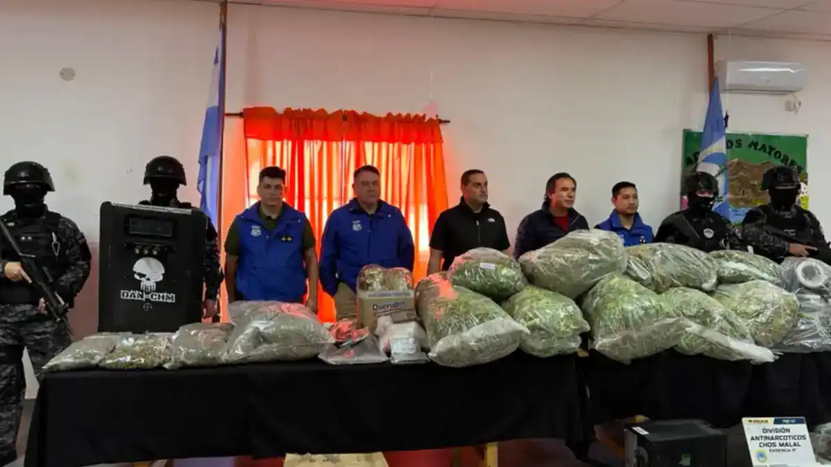 Golpe al narcotráfico en Neuquén: secuestraron 34 kilos de marihuana y desbarataron un invernadero